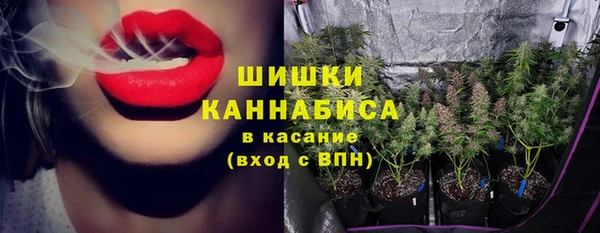 MESCALINE Осинники