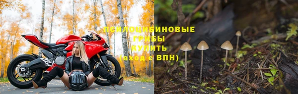 MESCALINE Осинники