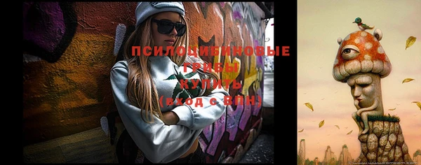 mdpv Пересвет
