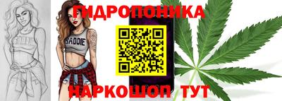гашик Гусев
