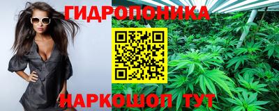 гидра Гусь-Хрустальный