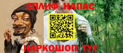 гашик Гусев