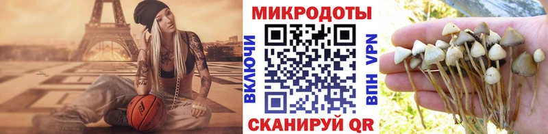 купить наркотики сайты  Кондопога  Псилоцибиновые грибы мицелий 