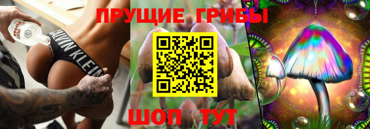 Галлюциногенные грибы Psilocybe Кондопога