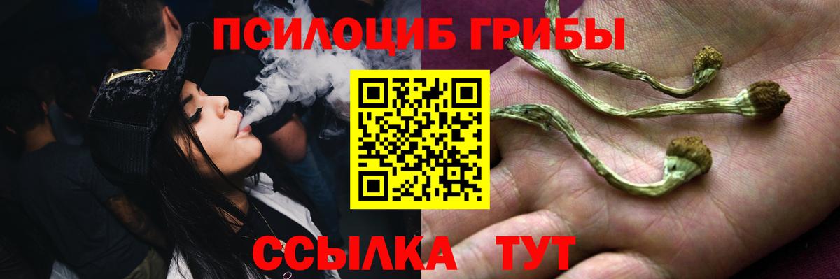 Кондопога  Галлюциногенные грибы прущие грибы  Вход с VPN 